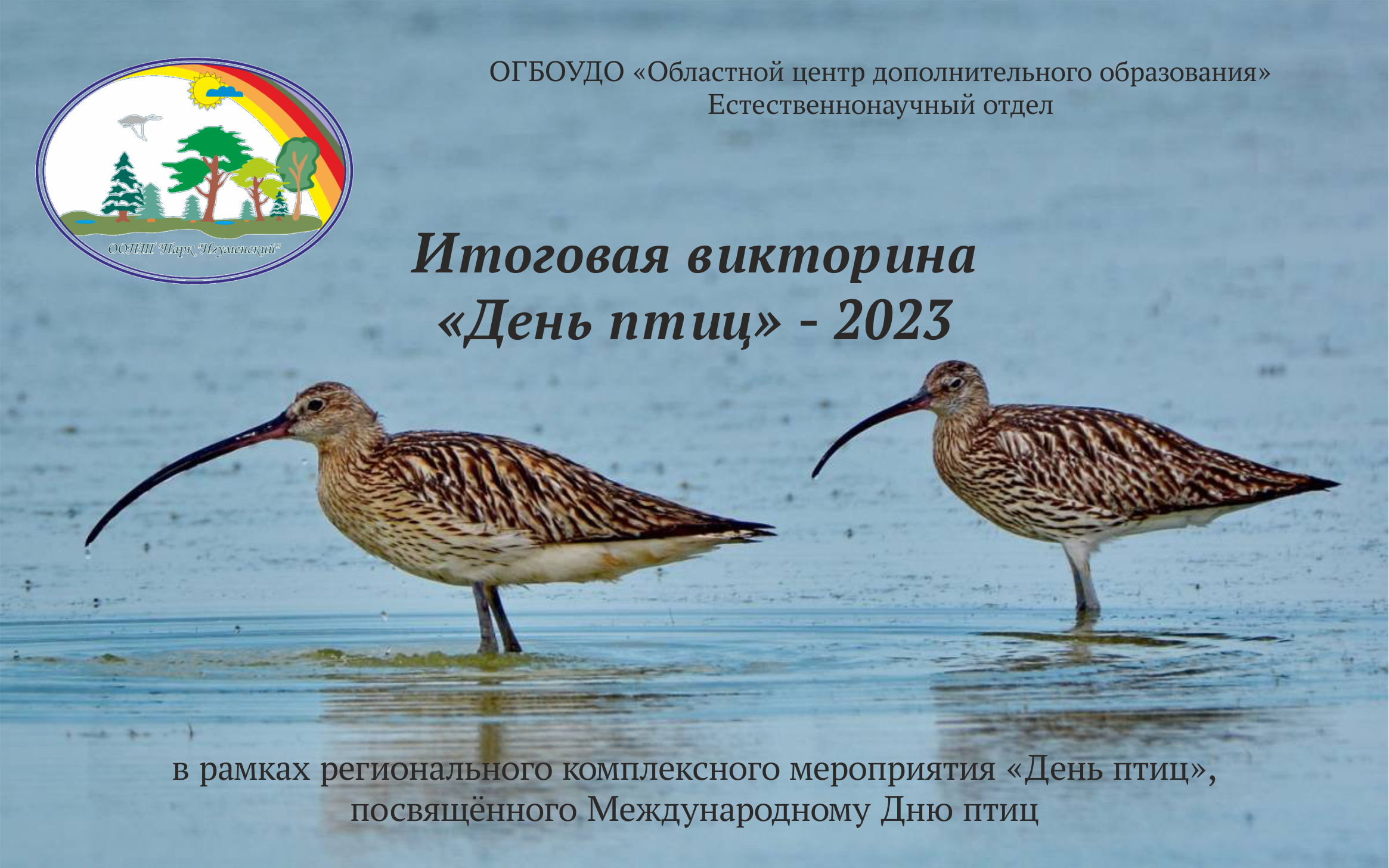 Приглашаем принять участие в онлайн викторине «День птиц» – Портал 