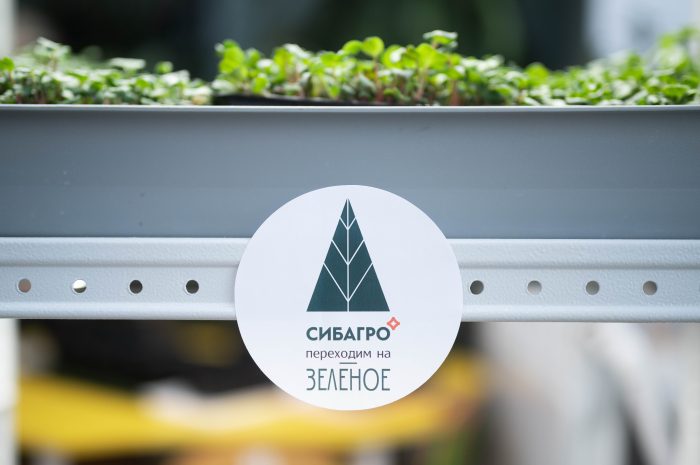 Макропольза от микрозелени: экологические проекты от «Сибагро» для детских садов