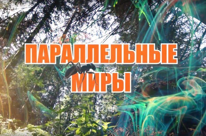 Встречайте новый видеогид “Параллельные миры” от ОГБУ “Облкомприрода”