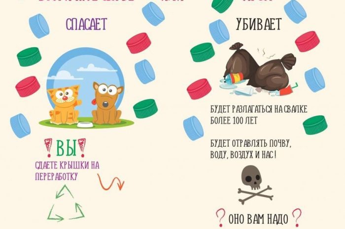 Акция «Крышки»