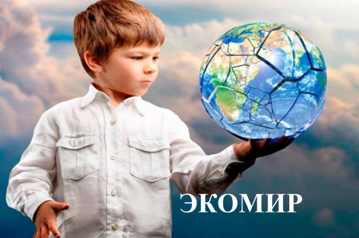 Вышел новый сборник научно-практических разработок в области экологического образования