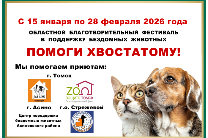 Областной благотворительный фестиваль в поддержку бездомных животных «ПОМОГИ ХВОСТАТОМУ!»