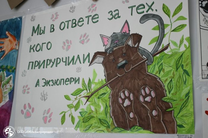 Завершился  Областной благотворительный фестиваль в поддержку бездомных животных “ПОМОГИ ХВОСТАТОМУ!”