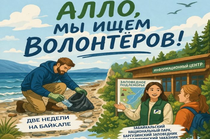 Открыт набор волонтеров на летнюю смену для работы на Байкале